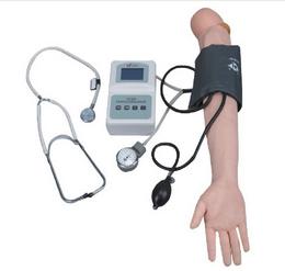 Blood Pressure Training Arm Model