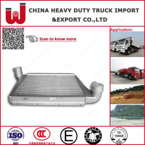 Aluminum Customized Sinotruk HOWO Intercooler Wg9725530020 (truck spare part)