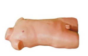 Xy-L-2002 Children′s Abdominal Puncture Simulator