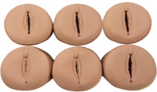 Xy-F-0014 Prenatal Cervix and Birth Canal Model